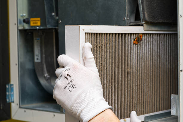 Best Air Duct Cleaning Near Me  in Westgate, FL